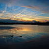 Sunset swim by Sky Noir--3387136859_f388cd8b11_t