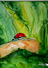 ladybird macro in watercolours by Spangles44 - back and catching up--3107079574_94b7997bea_t