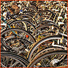 waves of bicycles by FrizzText- 2264719956_7e7aeb9ef1_t